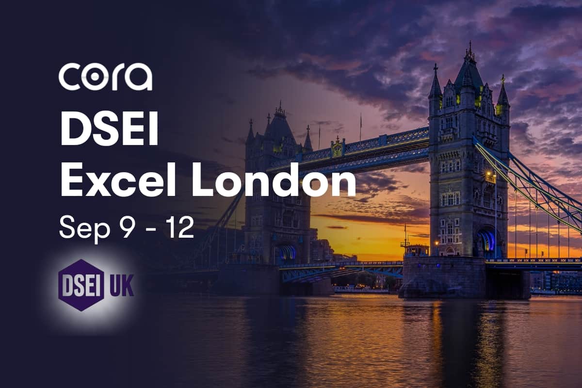 /assets/f/328957/1200x800/b29990e692/dsei-website-banner-graphic-1.jpg